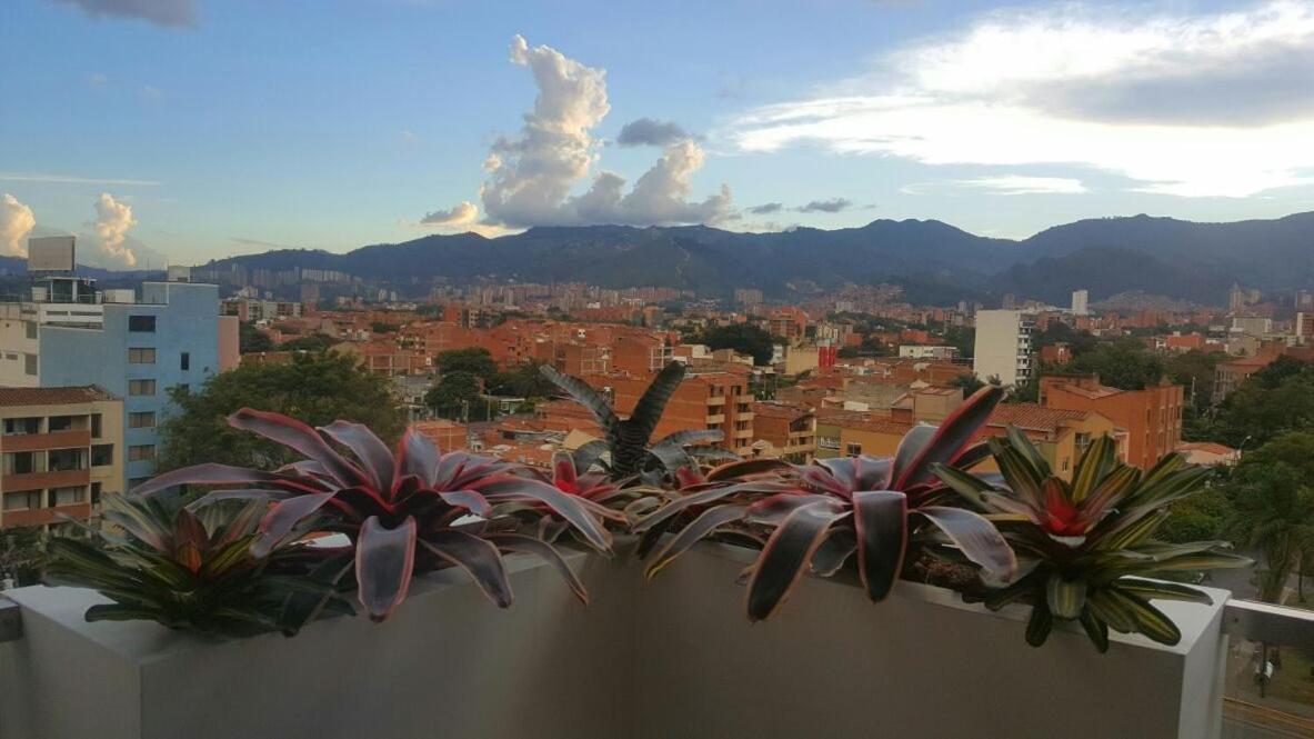 Terra Biohotel Medellín Exteriér fotografie